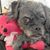 Laura Weinrich Schlatter's profile image