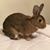 Jennifer LaVoie's profile image