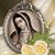 Rams Orellana's profile image