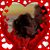 Beverly Najera Cavanaugh's profile image