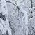 Karen Mrakovich Goldstein's profile image