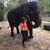 Deena Gastel's profile image