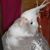 Donna Osburn's profile image