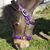 Michelle Vander Vlis's profile image