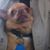Linda Bordelon Payne's profile image