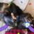 Laurie Gittere's profile image