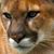 Helen Brewer's profile image