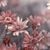 Sharyl Wright's profile image