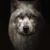 Mark H Okwaho's profile image