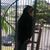 Elizabeth Ericksen's profile image
