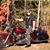 Jim Adamiak's profile image