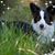 Linda Connor Gruenewald's profile image