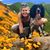Saskia Van Alphen's profile image