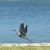 Susan Wolper's profile image