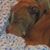 Kathy Kemnitz's profile image