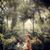 Kristy Darrenogue's profile image