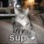 Jason Eugene Smith's profile image