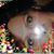 Sharon Crafts's profile image