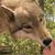 Stacy Lyn's profile image