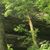 Shannon Killey Koester's profile image