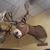 Brian Luce's profile image