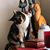 Vanessa Touchton Danford's profile image