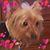 Kay Azbill's profile image