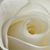 Lilly Banko's profile image