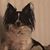 Rich Frey's profile image
