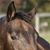 Jan Brockway's profile image