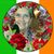 Linda Taylor McCall's profile image
