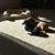 Linda Hird Eckhart's profile image