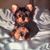 Helen Theriault's profile image