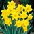 Diane Hickman's profile image