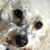 Meredith C. Brown's profile image