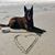 Lisa Synan Frey's profile image