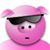 Andrew Kuo's profile image