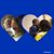 Moneta McGill's profile image