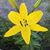 Barbara Shorey's profile image