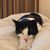 Madeline Joyce's profile image