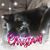 Rosalba Aguirre's profile image