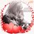 Shyla Reimer's profile image