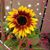 Celiena Johnson's profile image