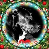 Francie Crampton-terrell's profile image