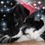 Diane Lanford's profile image