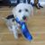 Sandra Goldsby's profile image
