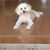 Jean Acree Winters's profile image