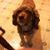 Audrey Fitzgerald's profile image