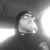 Kevin Tomion's profile image