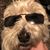 Julio Reyes's profile image